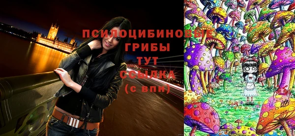 СК Богородицк