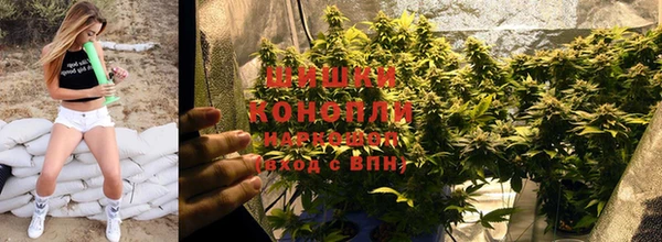 СК Богородицк
