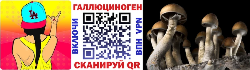 это клад  Кстово  Псилоцибиновые грибы ЛСД 